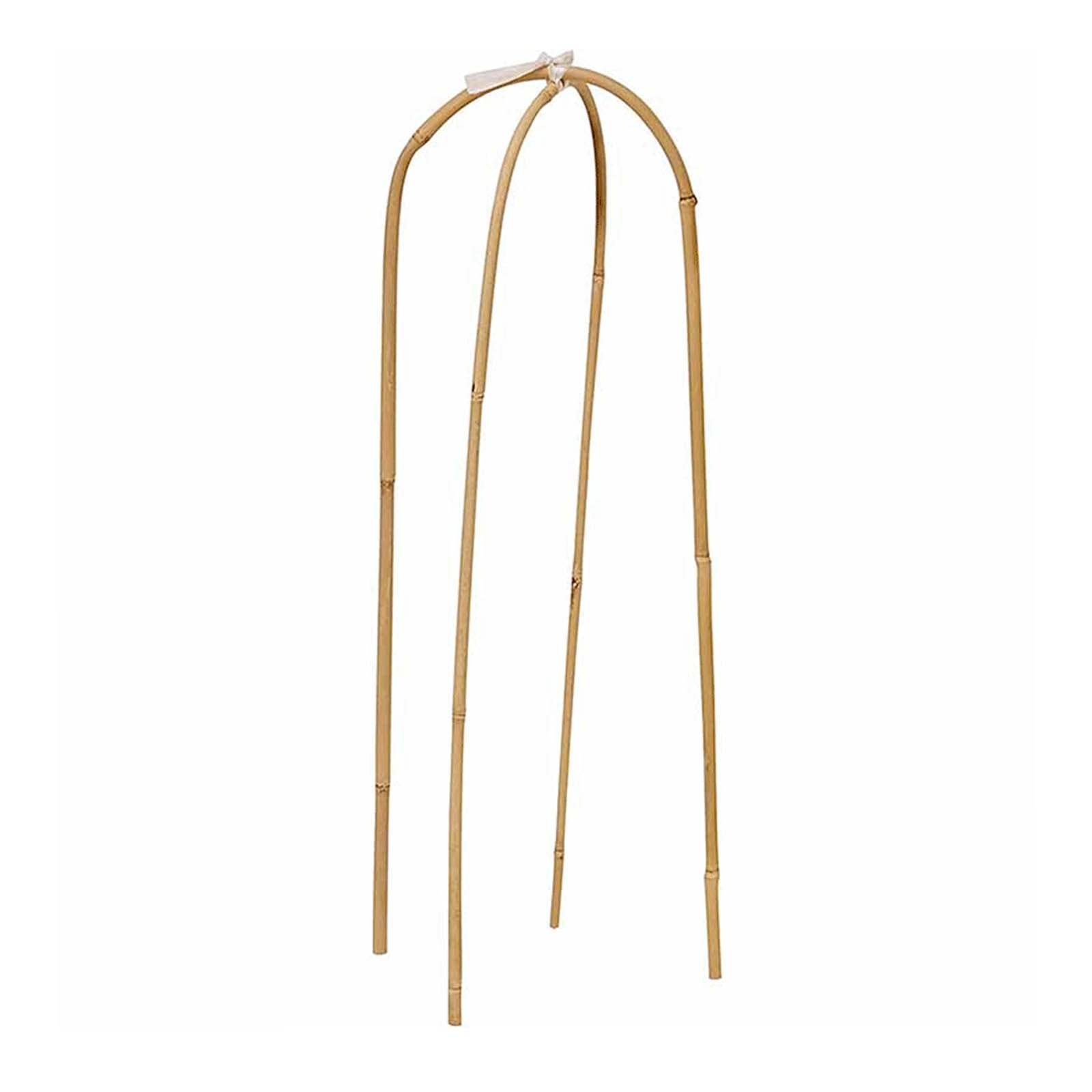 Bamboo Trellis (10 pack) - growthings plant co.