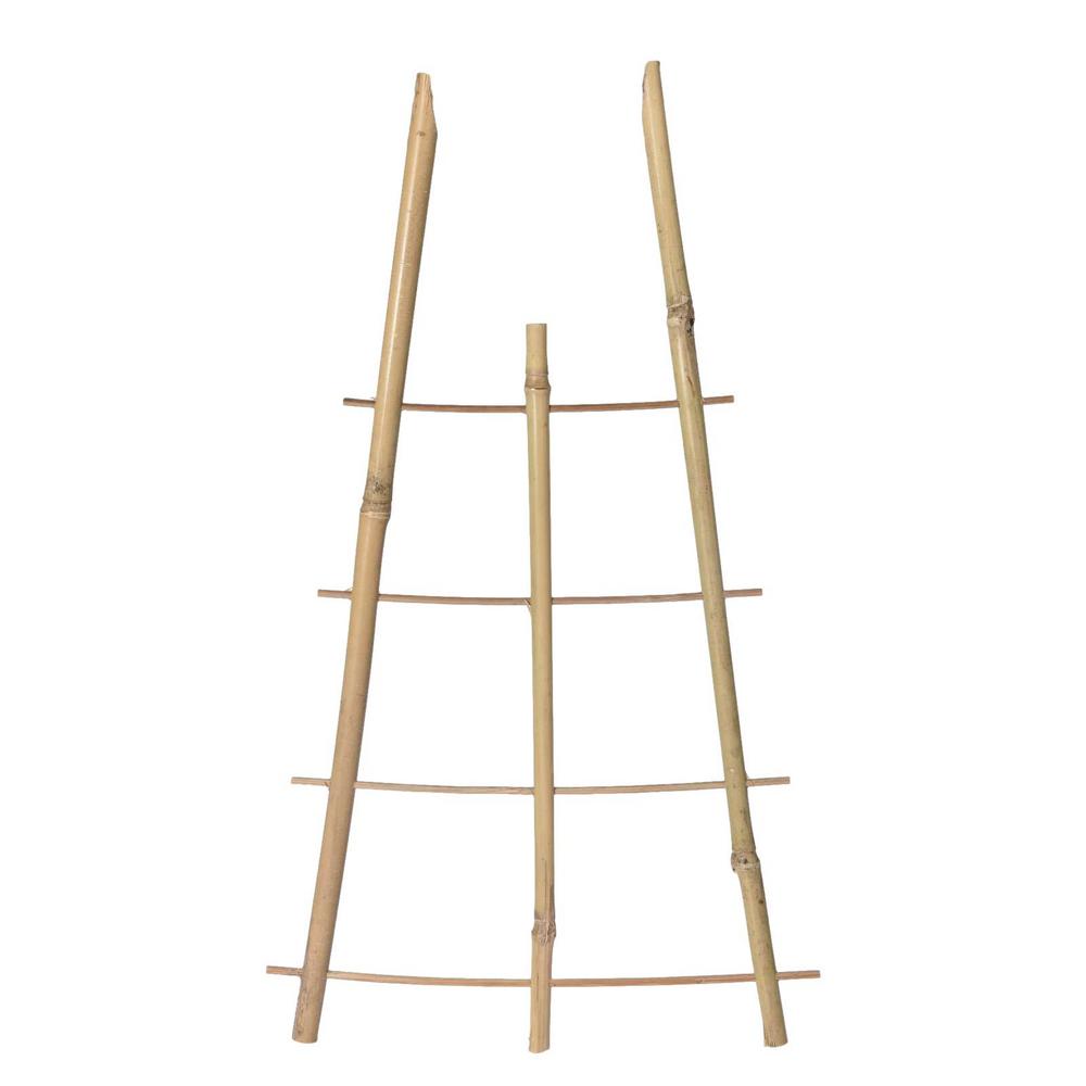 'The Ladder' Bamboo Trellis (6 pack) - growthings plant co.