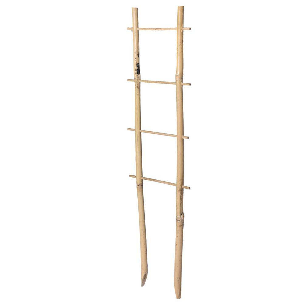 'The Ladder' Bamboo Trellis (6 pack) - growthings plant co.